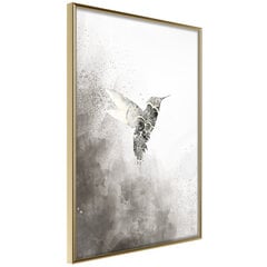Плакат Hummingbird in Shades of Grey цена и информация | Картины | 220.lv