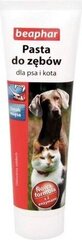 Зубная паста для домашних животных от зубного налета Beaphar, 100г цена и информация | Средства по уходу за животными | 220.lv