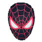 Pinjata - Spiderman Black, 59x42x18 cm cena un informācija | Svētku dekorācijas | 220.lv