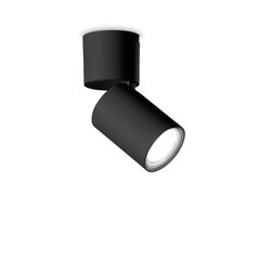 Настенный светильник Flash_AP1_Cromo цена и информация | Потолочный светильник | 220.lv