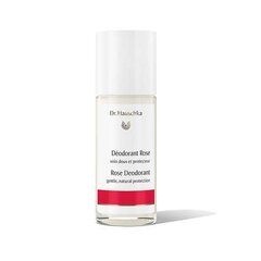 Dr. Hauschka dezodorants ar piparmētru un salvijas ekstraktiem (Sage Mint Deodorant) 50 ml cena un informācija | Dezodoranti | 220.lv