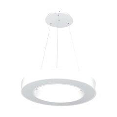 Virsmas / Iekarināma skudru virvju apļa formā LED lamp 48W balta цена и информация | Люстры | 220.lv