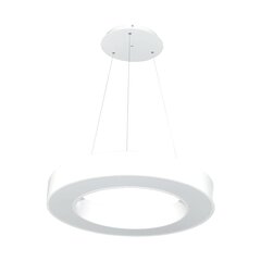 Светодиодный светильник в форме кольца для поверхностного монтажа / монтажа на кабель 36 Вт Белый цена и информация | Люстры | 220.lv