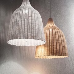 Iekarināma Lampa Haunt Sp1 Legno 159812 цена и информация | Люстры | 220.lv