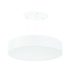 Virsmas / Iekarināma skudru virvju apaļa LED lampa 40W balta cena un informācija | Piekaramās lampas | 220.lv