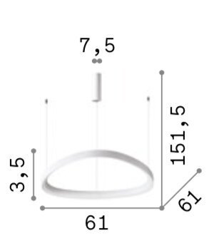 Iekarināma lampa GEMINI_SP_D61_NERO cena un informācija | Piekaramās lampas | 220.lv
