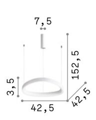 Настенный светильник Flash_AP1_Cromo цена и информация | Настенный/подвесной светильник Eye Spot 11 BL, чёрный | 220.lv