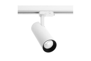 Lampa pievienota sliedei T-LINE 12W 38 ° 4000K balta цена и информация | Трековые светильники и шинопроводы | 220.lv