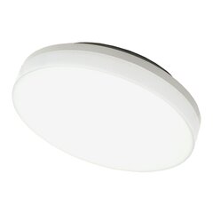 Потолочный, настенный светодиодный светильник 15 Вт белый цена и информация | Настенные светильники | 220.lv