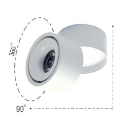 Светодиодный точечный поверхностный светильник, 15 Вт, белый  цена и информация | Настенные светильники | 220.lv