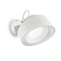 Sienas Lampa Tommy Ap Bianco 4000K 145303 cena un informācija | Āra apgaismojums | 220.lv