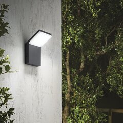 Sienas Lampa Style Ap Anthracite 4000K 209845 cena un informācija | Āra apgaismojums | 220.lv