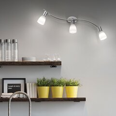 Sienas lampa Snake Ap3 2774 cena un informācija | Sienas lampas | 220.lv