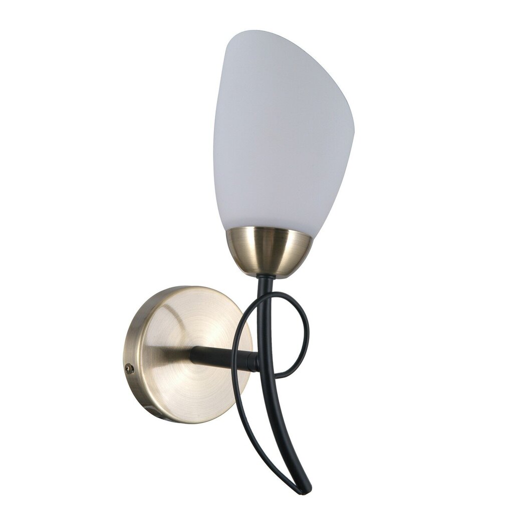 Sienas lampa WL-6706-1 cena un informācija | Sienas lampas | 220.lv