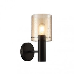 Sienas lampa WL-5581-1A-BK + RNAMB цена и информация | Настенные светильники | 220.lv