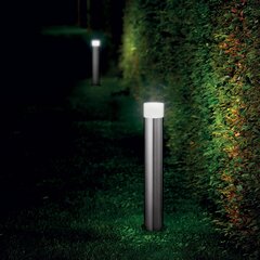 Iebūvēta Lampa Venus Pt1 maza Anthracite 106182 cena un informācija | Āra apgaismojums | 220.lv