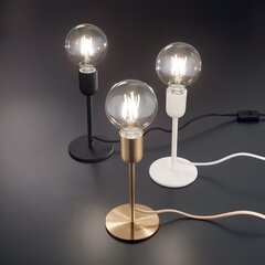 Darbagalda Lampa mikrofons Tl1 Bianco 232508 cena un informācija | Galda lampas | 220.lv