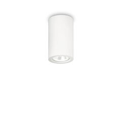 Потолочный светильник Pl1 Round 155869 цена и информация | Потолочные светильники | 220.lv