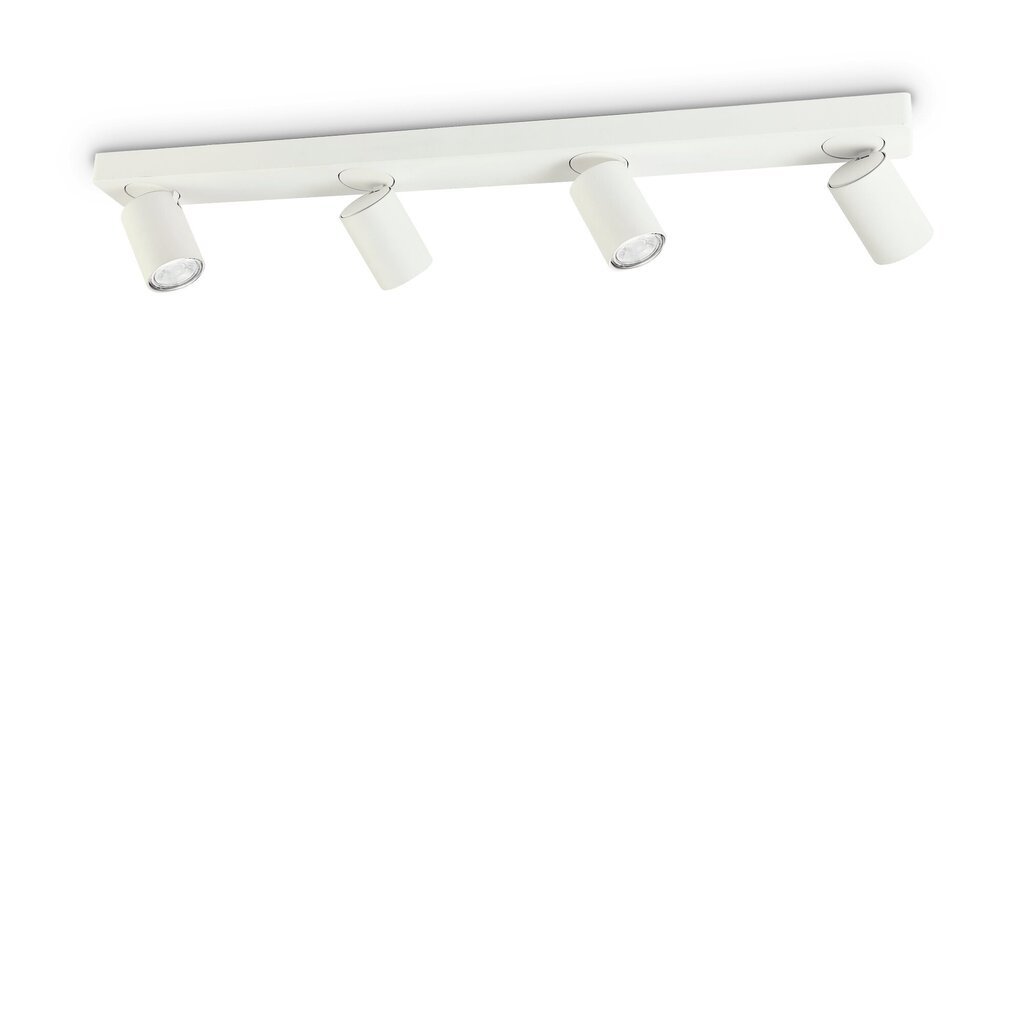 Griestu lampa Rudy Pl4 Bianco 229089 cena un informācija | Griestu lampas | 220.lv