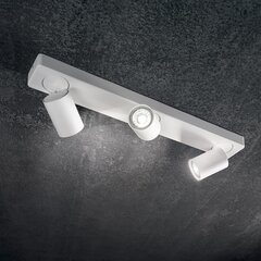 Griestu lampa Rudy Pl3 Bianco 229065 cena un informācija | Griestu lampas | 220.lv