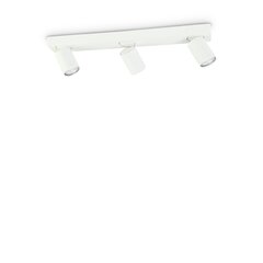 Griestu lampa Rudy Pl3 Bianco 229065 cena un informācija | Griestu lampas | 220.lv