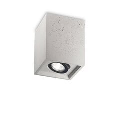 Griestu lampa Oak Pl1 kvadrāta Cement 150475 cena un informācija | Griestu lampas | 220.lv