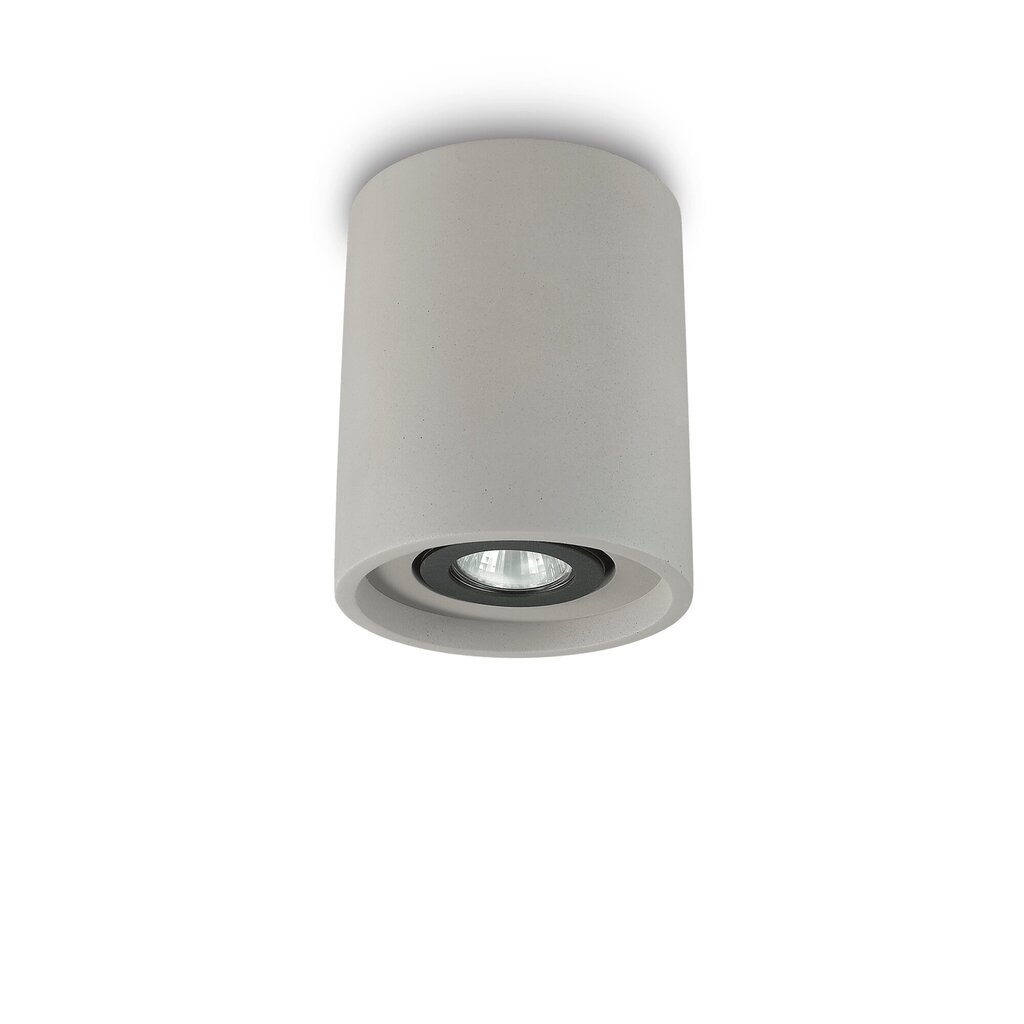 Griestu lampa Oak Pl1 Apaļa Cement 150437 цена и информация | Griestu lampas | 220.lv