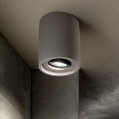Griestu lampa Oak Pl1 Apaļa Cement 150437 cena un informācija | Griestu lampas | 220.lv