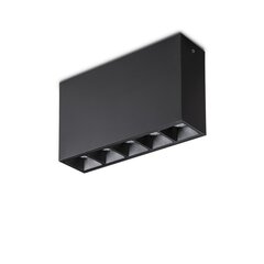 Потолочный светильник Lika 10W Surface Bk 244884 цена и информация | Потолочные светильники | 220.lv