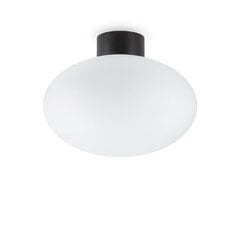 Griestu lampa Clio Mpl1 Nero 148878 цена и информация | Потолочные светильники | 220.lv