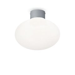 Griestu lampa Clio Mpl1 Grigio 148854 cena un informācija | Griestu lampas | 220.lv