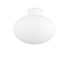 Griestu lampa Clio Mpl1 Bianco 148847 cena un informācija | Griestu lampas | 220.lv