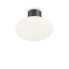 Griestu lampa Clio Mpl1 Anthracite 148861 цена и информация | Потолочные светильники | 220.lv