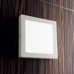 Sienas Lampa Universal D30 kvadrāta 138657 cena un informācija | Griestu lampas | 220.lv