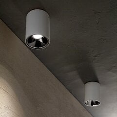 Griestu Lampa Nitro 15W apaļa Bianco 205977 цена и информация | Потолочные светильники | 220.lv