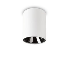 Griestu Lampa Nitro 15W apaļa Bianco 205977 цена и информация | Потолочные светильники | 220.lv