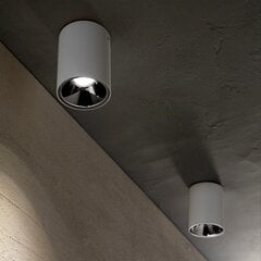 Griestu Lampa Nitro 10W apaļa Bianco 205991 цена и информация | Потолочные светильники | 220.lv