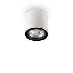 Griestu Lampa Mood Pl1 D15 apaļa Bianco 140872 cena un informācija | Griestu lampas | 220.lv