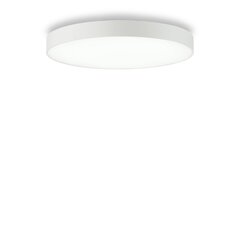 Griestu-sienas Lampa Halo PL D60 3000K 223223 cena un informācija | Griestu lampas | 220.lv