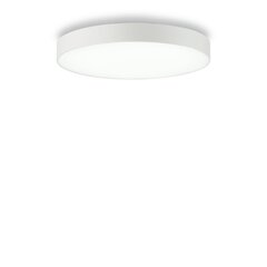 Griestu-sienas Lampa Halo PL D45 3000K 223209 cena un informācija | Griestu lampas | 220.lv