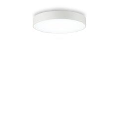 Griestu-sienas Lampa Halo PL D35 4000K 223193 цена и информация | Потолочные светильники | 220.lv