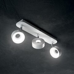 Griestu Lampa Oby Pl3 196701 цена и информация | Потолочные светильники | 220.lv