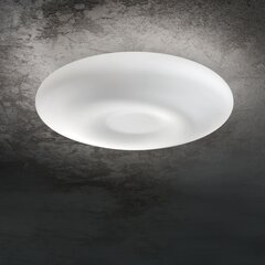 Griestu Lampa Glory Pl5 D60 19765 цена и информация | Потолочные светильники | 220.lv