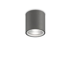 Griestu Lampa Gun Pl1 Anthracite 236865 цена и информация | Потолочные светильники | 220.lv