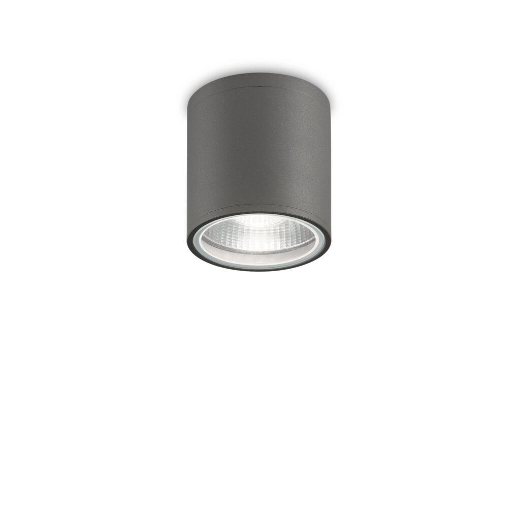 Griestu Lampa Gun Pl1 Anthracite 236865 cena un informācija | Griestu lampas | 220.lv