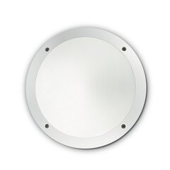 Sienas Lampa Lucia-1 Ap1 Bianco 96667 cena un informācija | Griestu lampas | 220.lv