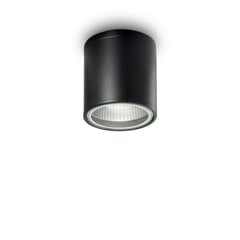 Griestu Lampa Gun Pl1 Nero 122687 цена и информация | Потолочные светильники | 220.lv
