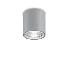 Griestu Lampa Gun Pl1 Grigio 163642 cena un informācija | Griestu lampas | 220.lv