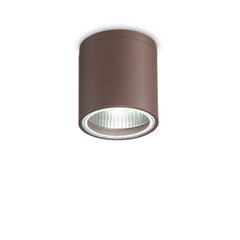 Griestu Lampa Gun Pl1 Coffee 163666 цена и информация | Потолочные светильники | 220.lv