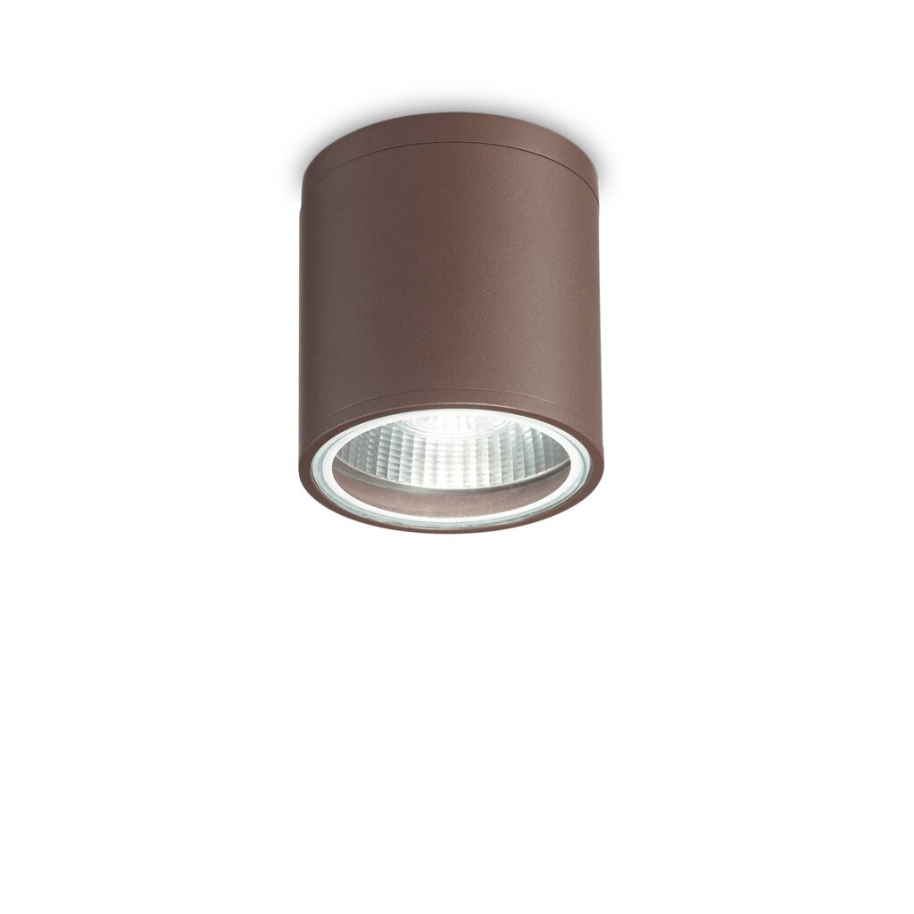 Griestu Lampa Gun Pl1 Coffee 163666 cena un informācija | Griestu lampas | 220.lv